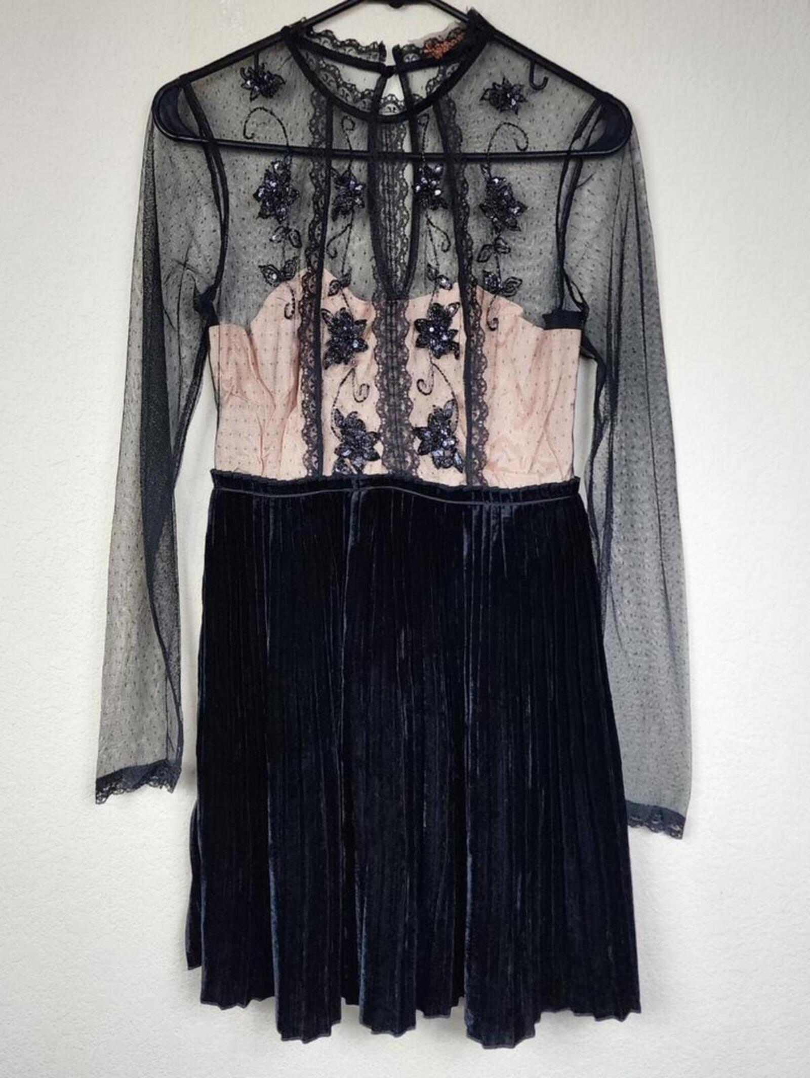 Free People Tulle Velvet Long Sleeve Small Lace Mesh Dress